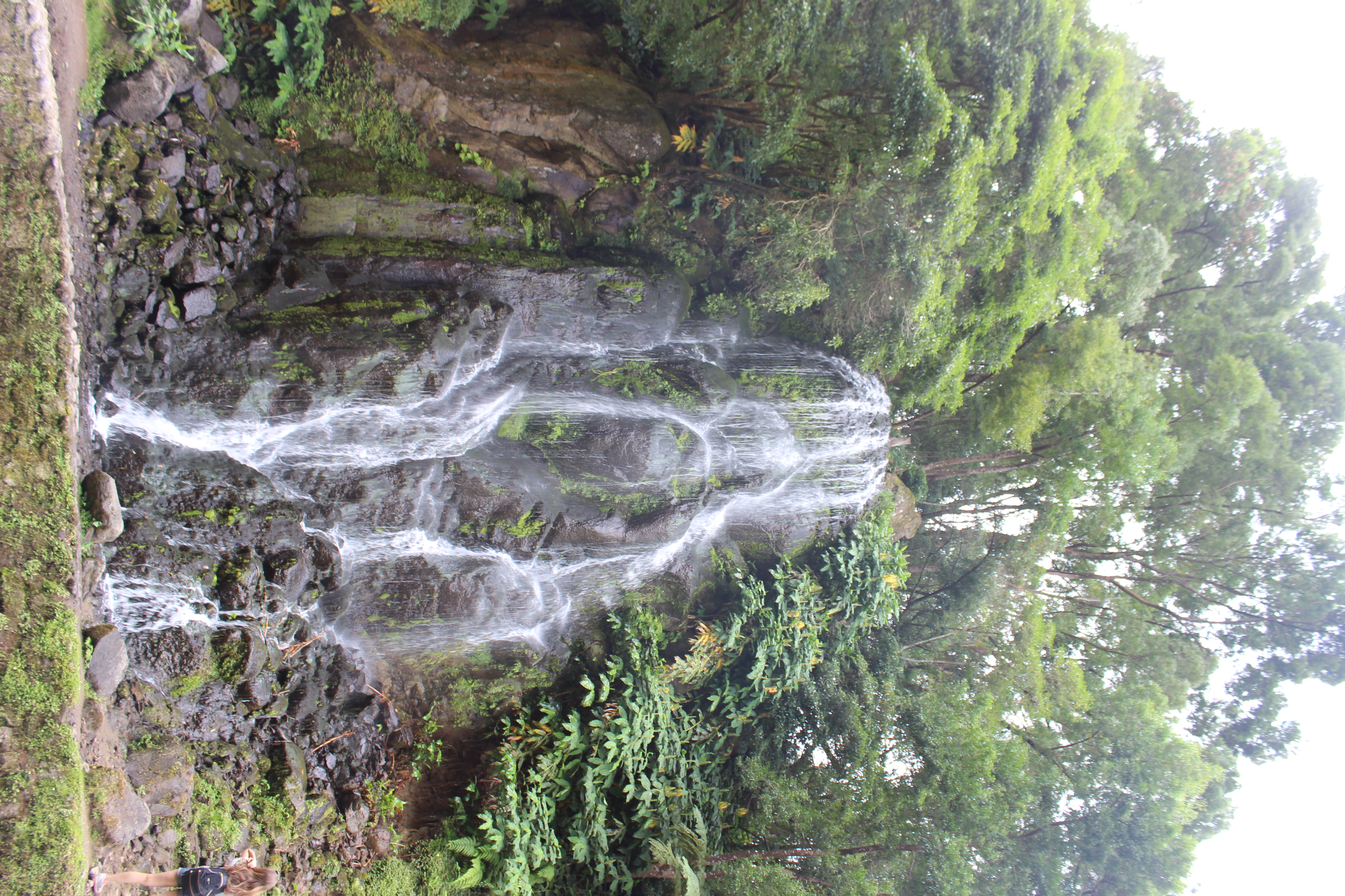 São Miguel — natureza