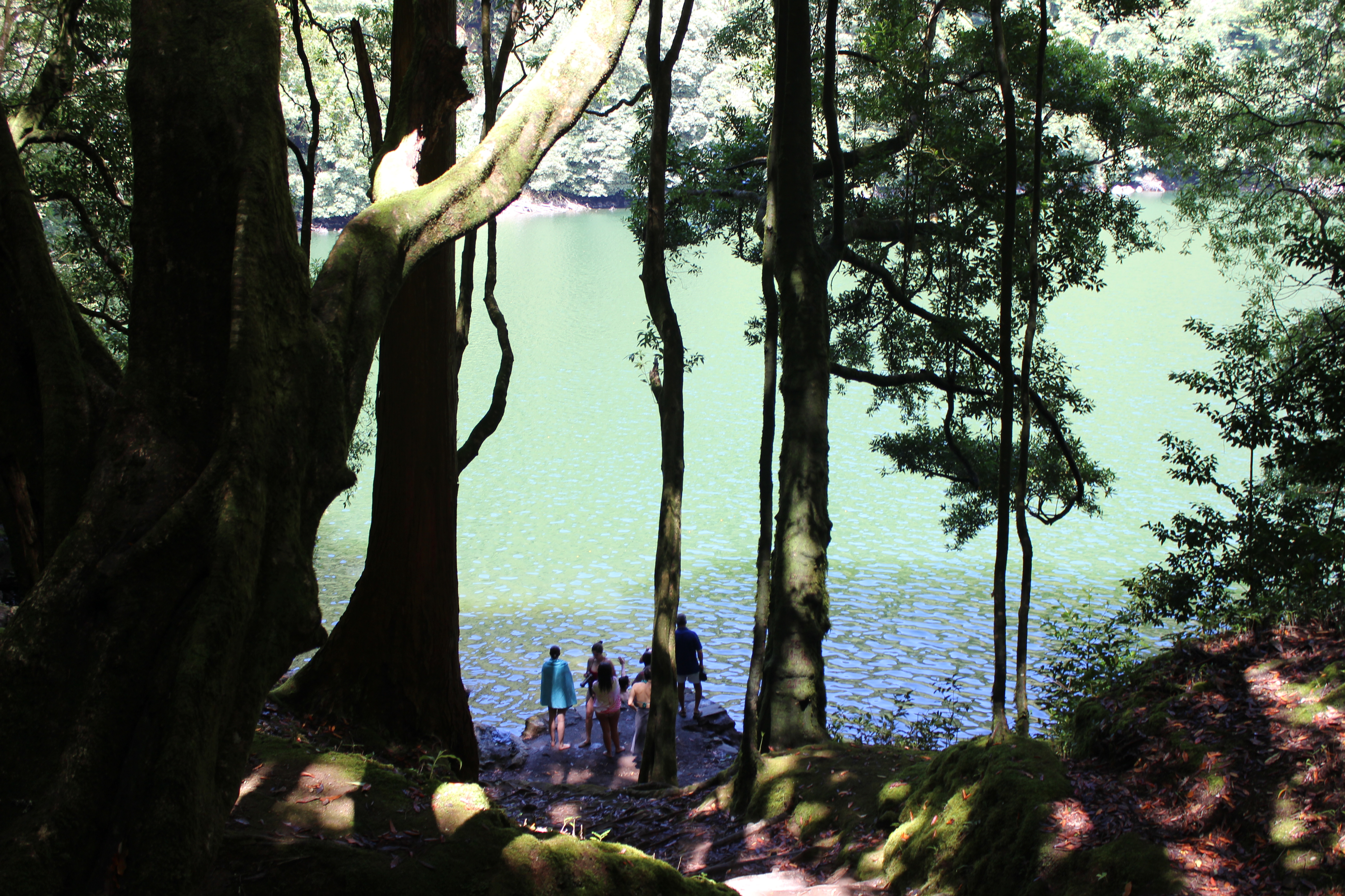 São Miguel — paisagem