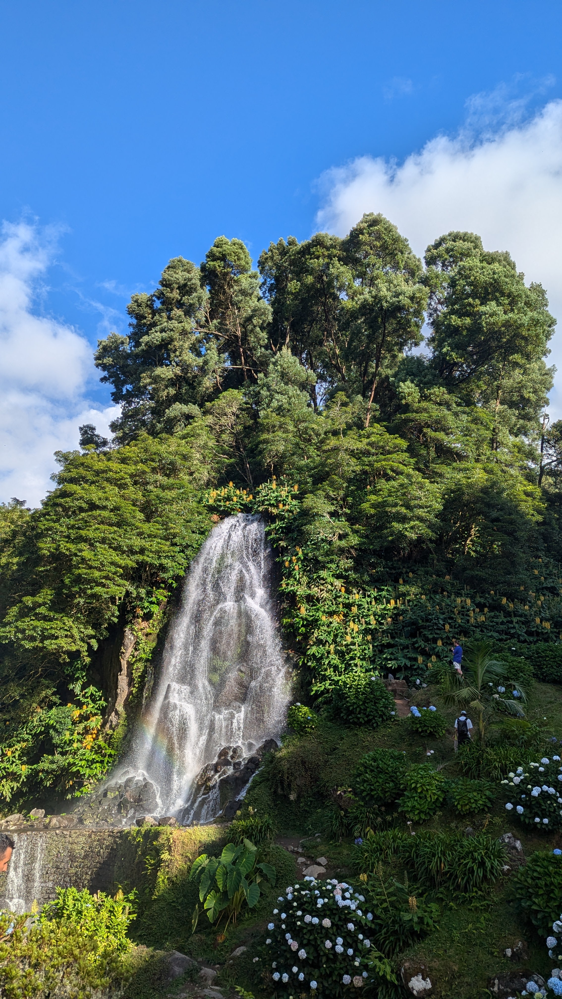 São Miguel — guia local